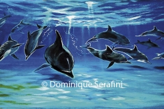 la-valse-des-dauphins_B