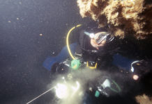 Opération Unterseebootsjäger, les chasseurs de sous-marins