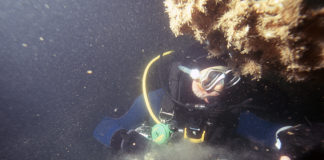 Opération Unterseebootsjäger, les chasseurs de sous-marins