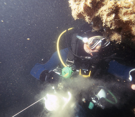 Opération Unterseebootsjäger, les chasseurs de sous-marins