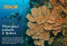 En mai 2018 : enquête à Bohol avec Objectif Atlantide