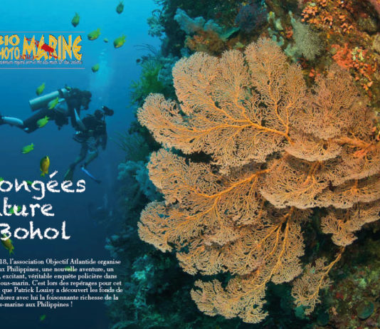 En mai 2018 : enquête à Bohol avec Objectif Atlantide