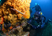 Profession : Garde moniteur du Parc National de Port Cros