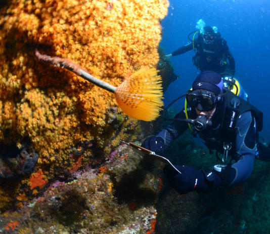 Profession : Garde moniteur du Parc National de Port Cros