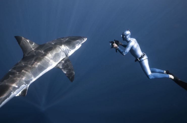 Fred Buyle, apnéiste photographe