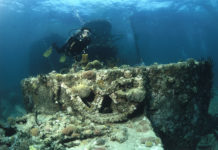 Cuba, Isla de la Juventud : cap sur l’île au trésor !