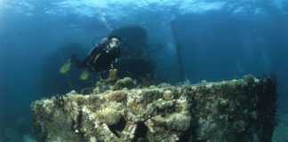 Cuba, Isla de la Juventud : cap sur l’île au trésor !