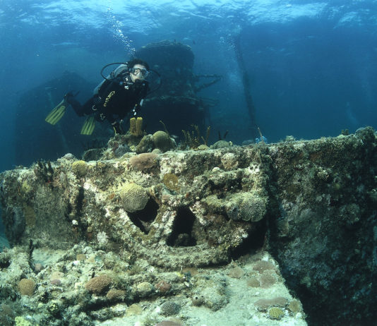 Cuba, Isla de la Juventud : cap sur l’île au trésor !