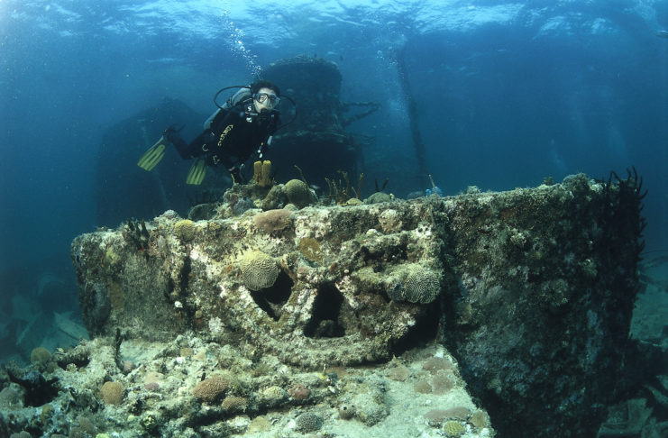 Cuba, Isla de la Juventud : cap sur l’île au trésor !