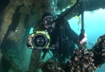 Epave : le triste destin du Thüringen