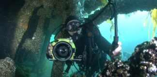 Epave : le triste destin du Thüringen