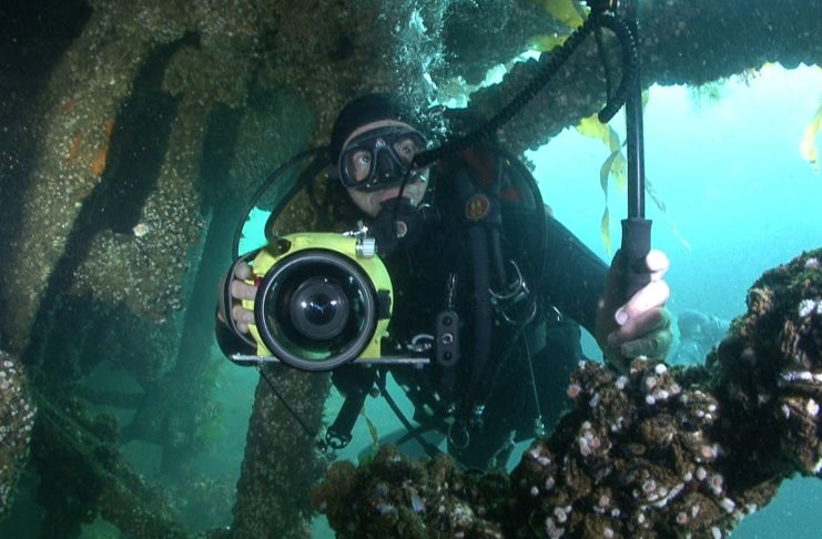 Epave : le triste destin du Thüringen