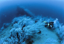 Djibouti : la mystérieuse Dame Blanche