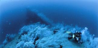 Djibouti : la mystérieuse Dame Blanche