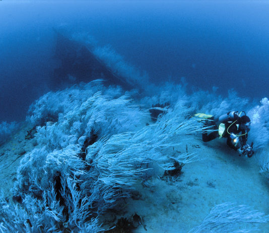Djibouti : la mystérieuse Dame Blanche