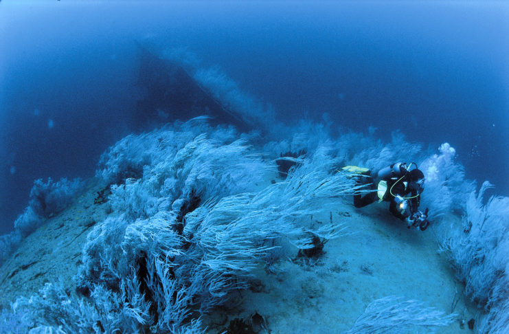Djibouti : la mystérieuse Dame Blanche