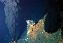 Sciences participatives : devenez un espion des grands fonds !