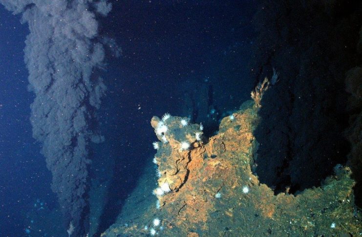 Sciences participatives : devenez un espion des grands fonds !