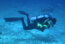 Palmage : la technique du Frog Kick