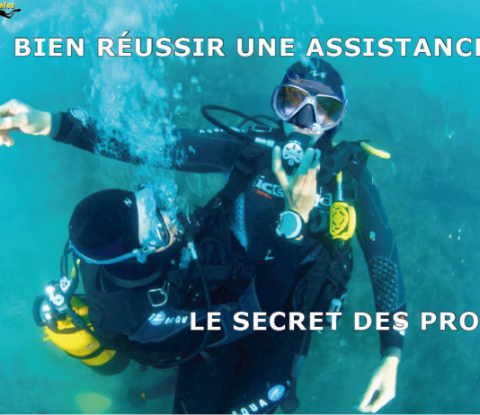 Cahiers Techniques de la Plongée