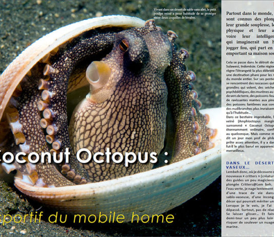 Dossier à télécharger : Coconut Octopus, le sportif du mobile home