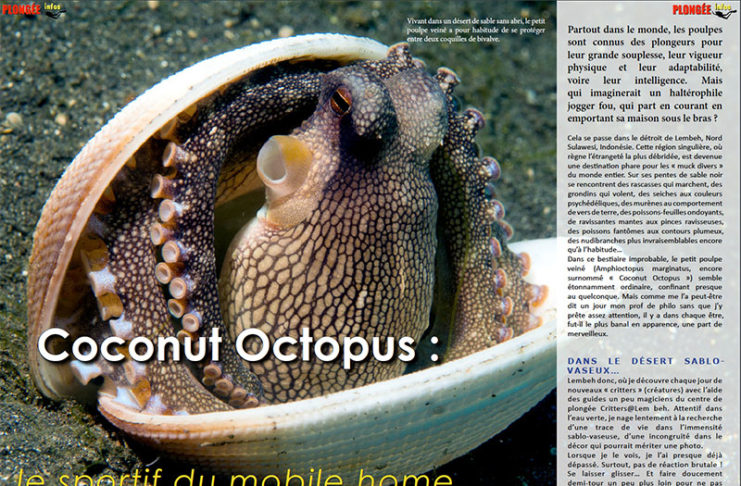 Dossier à télécharger : Coconut Octopus, le sportif du mobile home