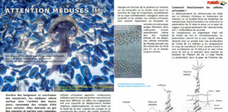 Dossiers Bio Sous-Marine