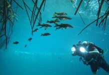 Vidéo : Réalisez un vrai film pro ! 5 secrets pour un film réussi