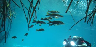 Vidéo : Réalisez un vrai film pro ! 5 secrets pour un film réussi