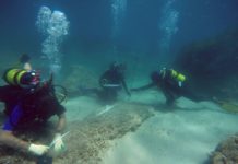 Une ville antique engloutie, découverte au large des côtes tunisiennes