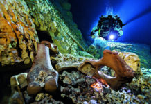 Le «trou noir» du Yucatan livre ses secrets