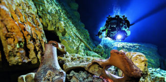 Le «trou noir» du Yucatan livre ses secrets