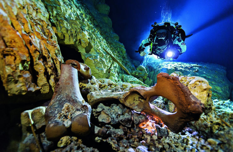 Le «trou noir» du Yucatan livre ses secrets