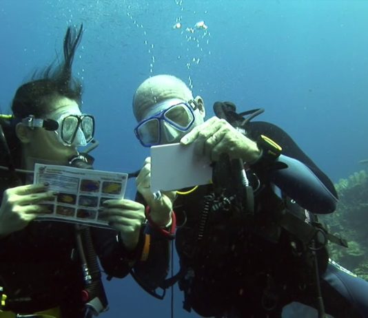 Avec Objectif Atlantide, menez une enquête sous-marine : Destination PHILIPPINES !