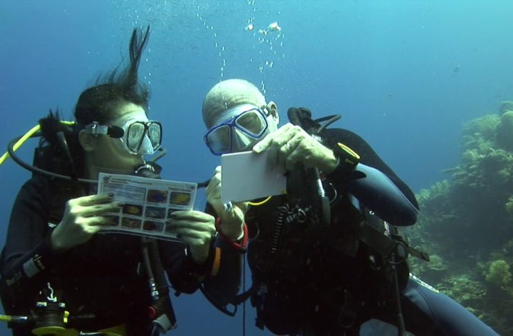 Avec Objectif Atlantide, menez une enquête sous-marine : Destination PHILIPPINES !