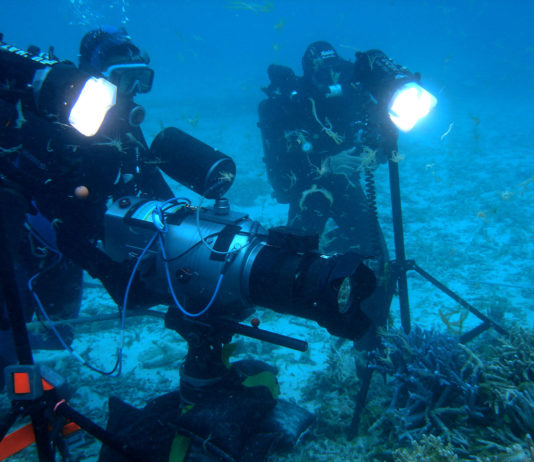 L’éclairage en vidéo sous-marine