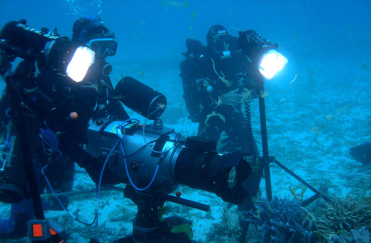 L’éclairage en vidéo sous-marine