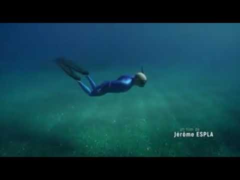 “Génération Grand Bleu”, prix spécial Découverte au Festival de Marseille