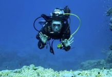 Sea Base, votre nouvelle base de plongée en mer Rouge