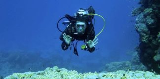 Sea Base, votre nouvelle base de plongée en mer Rouge