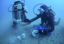 Formation Plongée Scientifique – Université de Perpignan