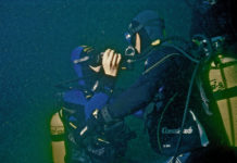 Bien réussir une assistance : le secret des pros