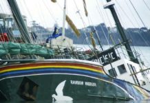 Chaque jour, une épave : 2 décembre 1987, le Rainbow Warrior