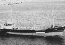 Chaque jour, une épave : 16 décembre 1978, le Temo, à découvrir