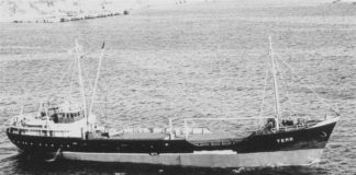 Chaque jour, une épave : 16 décembre 1978, le Temo, à découvrir