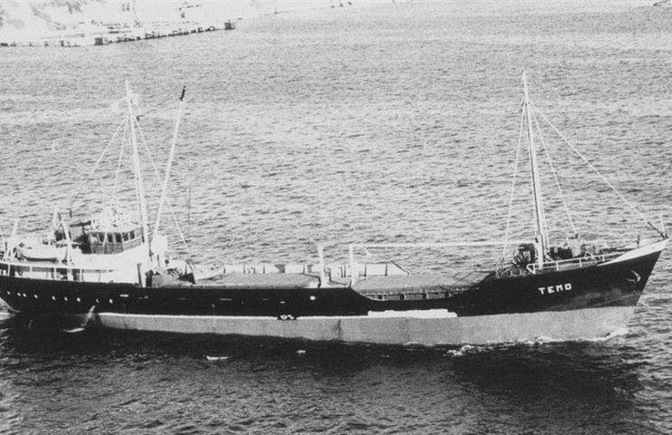 Chaque jour, une épave : 16 décembre 1978, le Temo, à découvrir