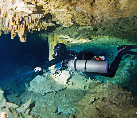 Cénotes : plongée dans l’infra-monde Maya