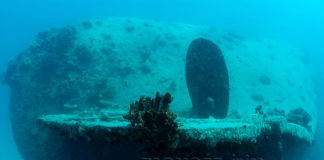 Chaque jour, une épave : 29 janvier 1915, le Zietieh