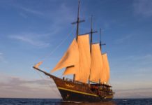 Après le WAOW, la construction d’un WAOW 2 ?