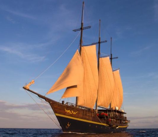 Après le WAOW, la construction d’un WAOW 2 ?